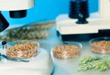 دسترسی تولیدکنندگان غذا و دارو به نتایج آنالیز الکترونیکی