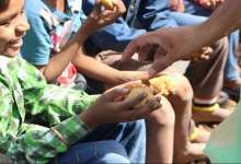 سوء تغذیه؛ از مهمترین دلایل رشد نامناسب جسمی و روانی کودکان