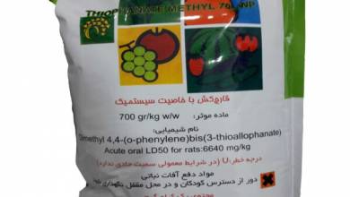 کسب و کار ایرانیان