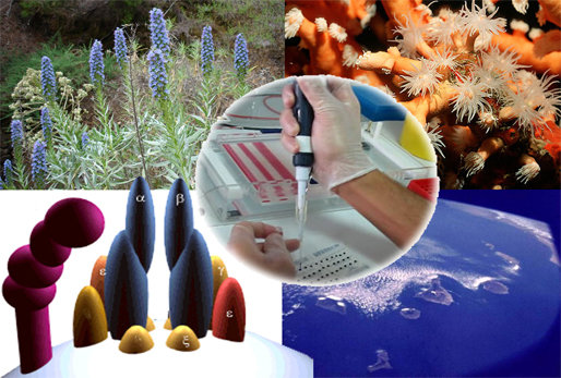 امضای متمم تفاهم‌نامه ستاد نانو و سازمان تحقیقات، آموزش و ترویج کشاورزی