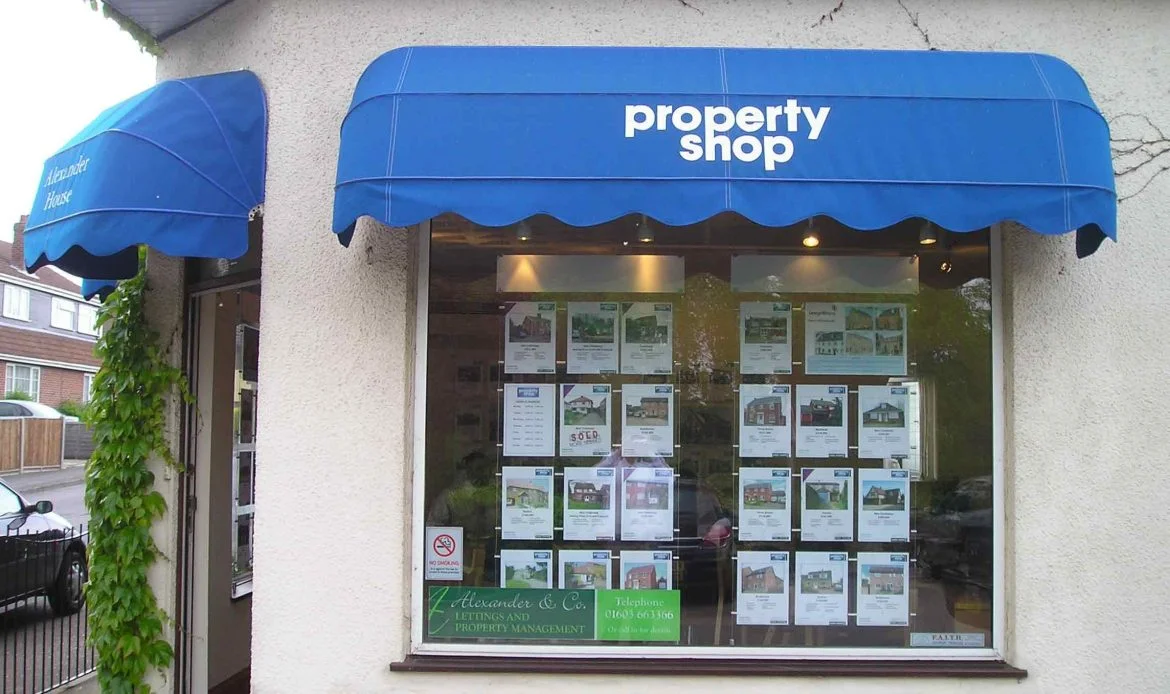 What is the difference between a simple stroller canopy and a motorized one