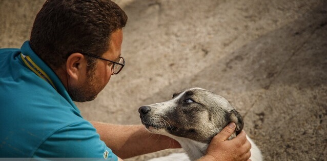 تاثیر مستقیم بیماری «هاری» بر سیستم عصبی مغز