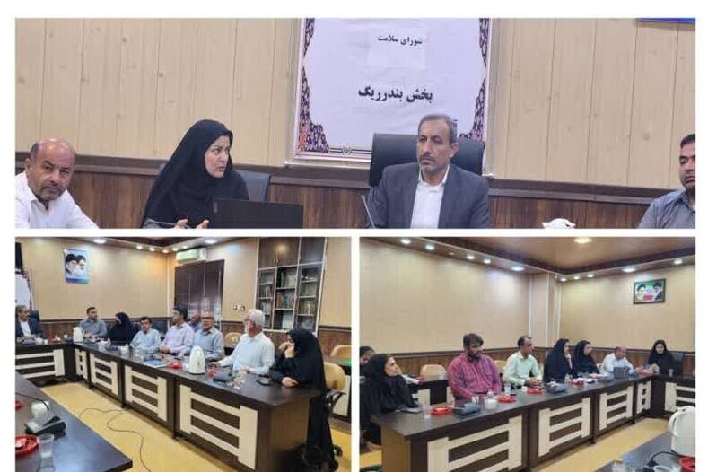 پشه آئدس تاکنون در بخش ریگ مشاهده نشده است - خبرگزاری مهر | اخبار ایران و جهان