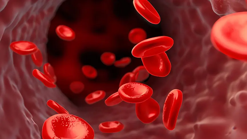 آزمایش rdw خون چیست ؟ نحوه تفسیر آن