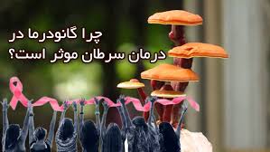 قهوه |کبد چرب