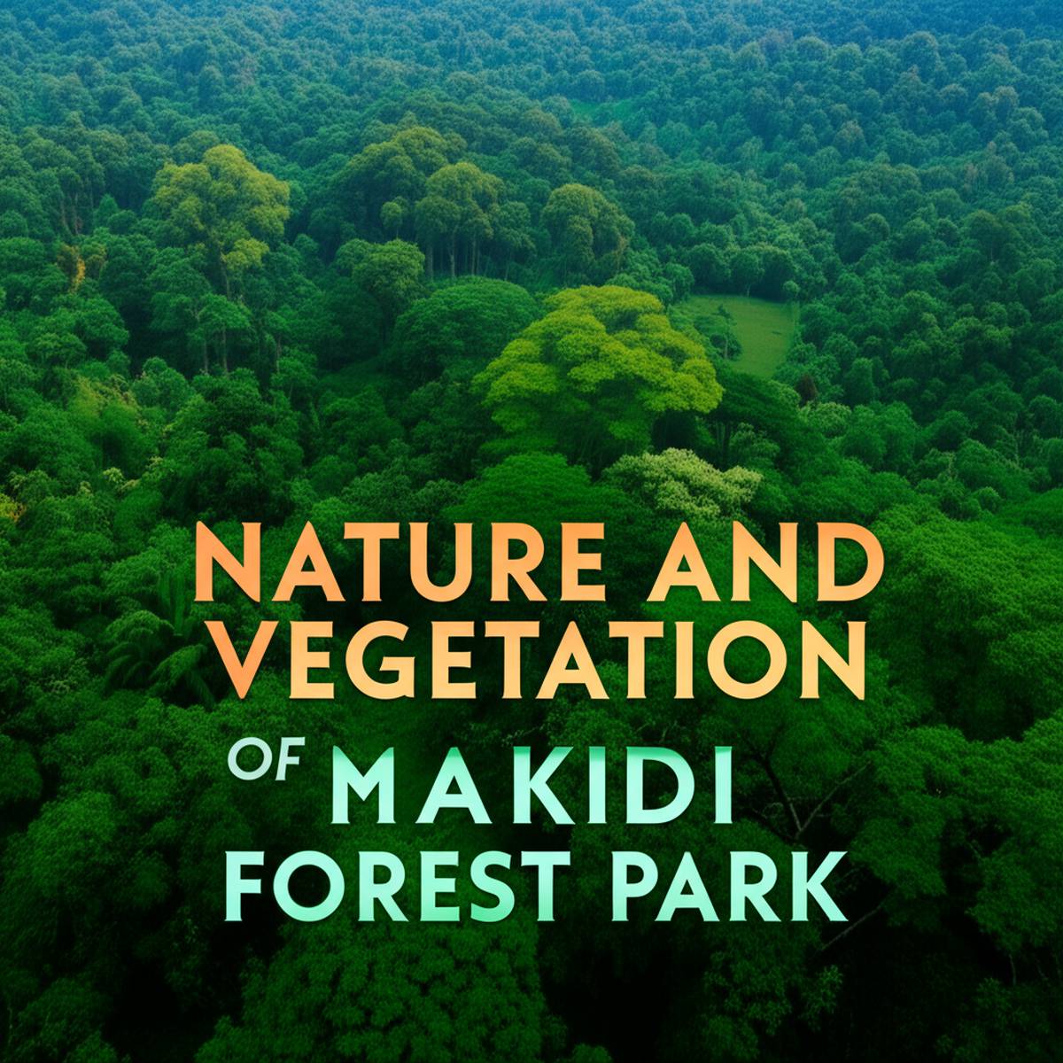 گردشگری و اقامتی