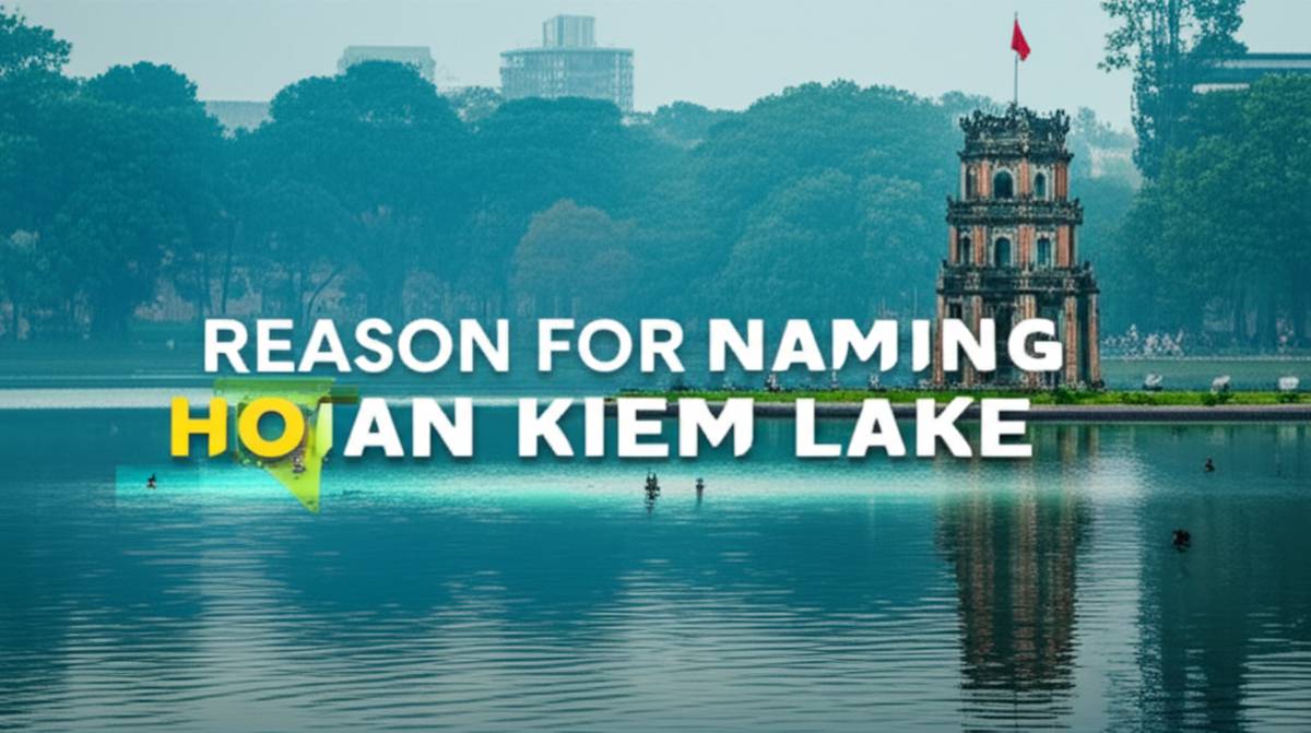 گردشگری و اقامتی