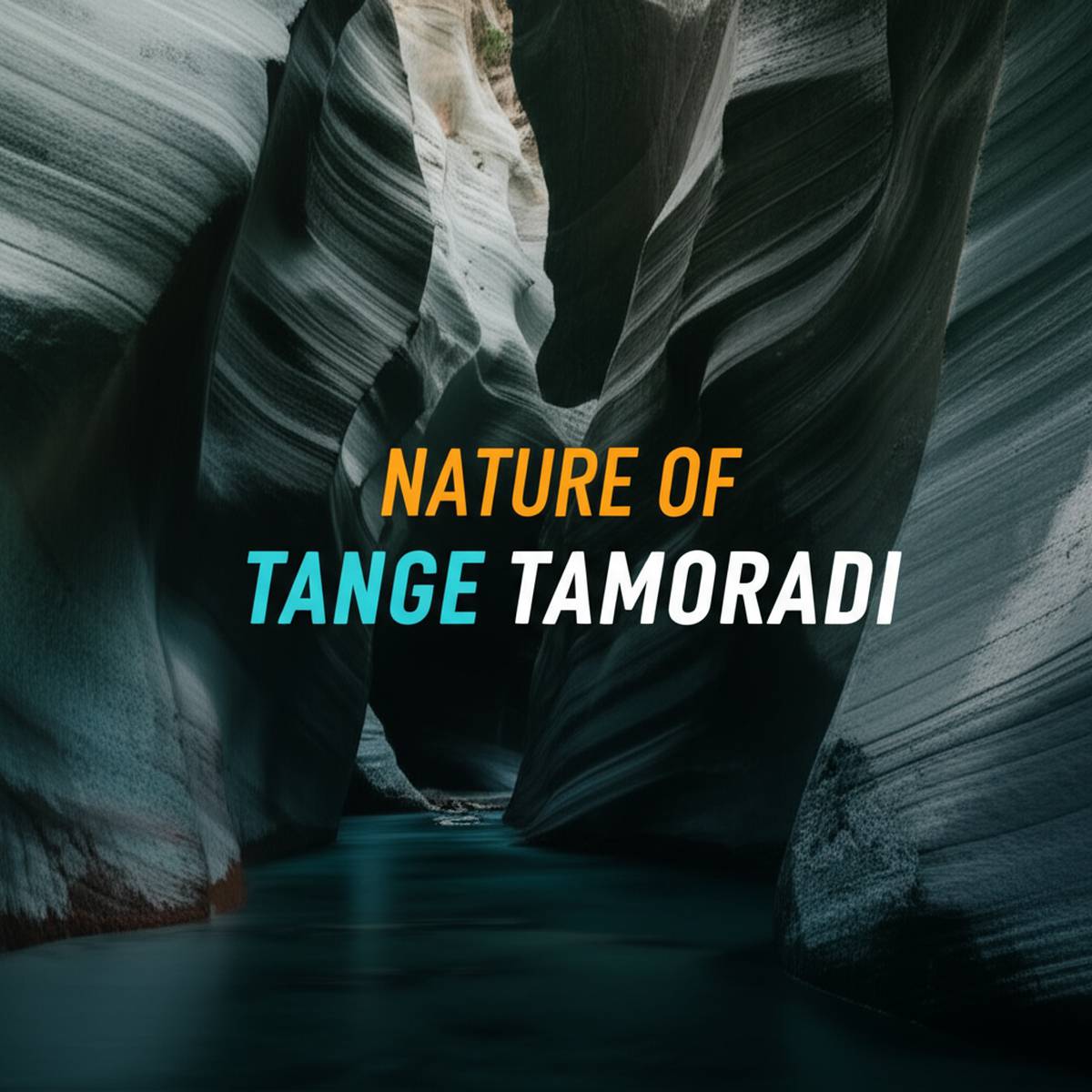 گردشگری و اقامتی