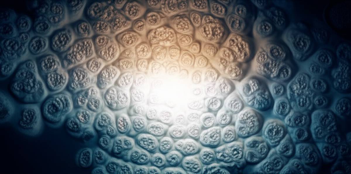 درمان |زگیل