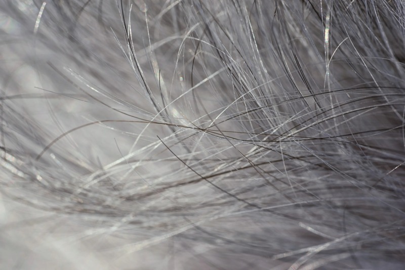 راهکارهای طب سنتی برای پیشگیری و درمان سفیدی مو